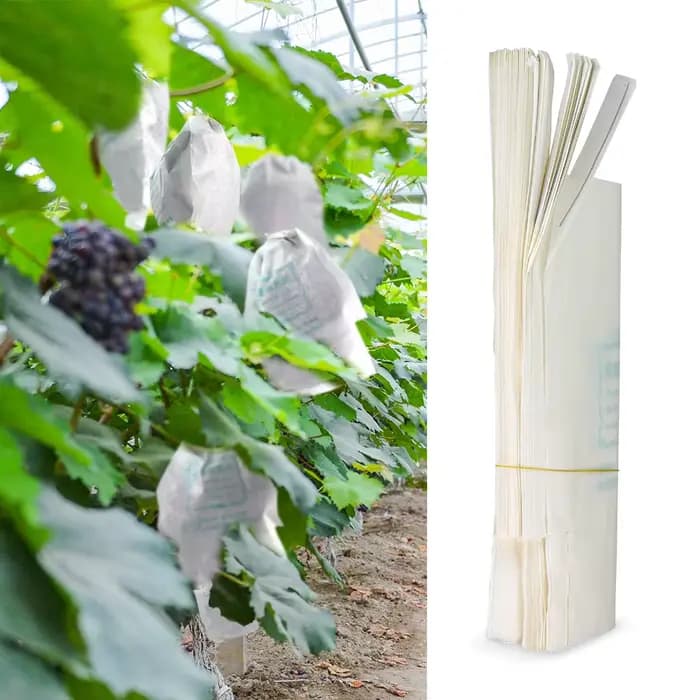 Sacs de Protection de Raisin en Papier Blanc pour Verger, Étanches aux Mites, pour la Culture de Fru