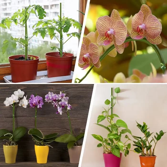 Piquets de Support de plantes pliables à tige unique, 16 pouces/40cm, vert, pour plantes d'intérieur