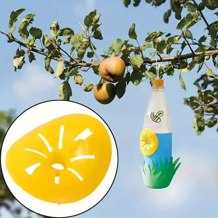 Piège à guêpes et à frelons réutilisable, en forme de fleur, pour la maison et le jardin, lot de 5 à