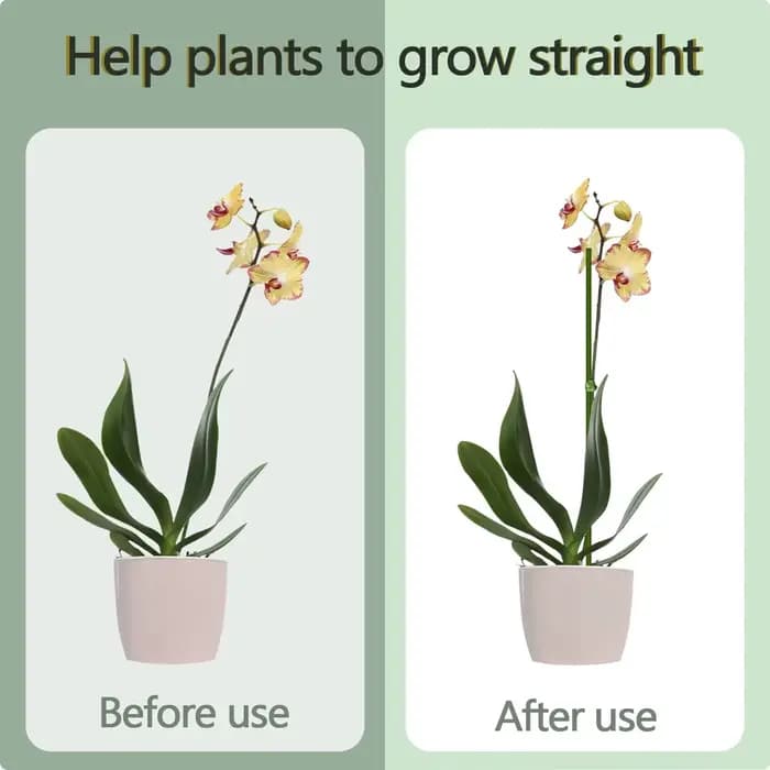 Piquets de Support de plantes pliables à tige unique, 16 pouces/40cm, vert, pour plantes d'intérieur
