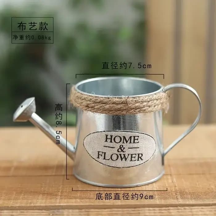 Petit arrosoir en fer, Pots seau en fer rétro pour fleurs, ornements de jardin de maison, décoration