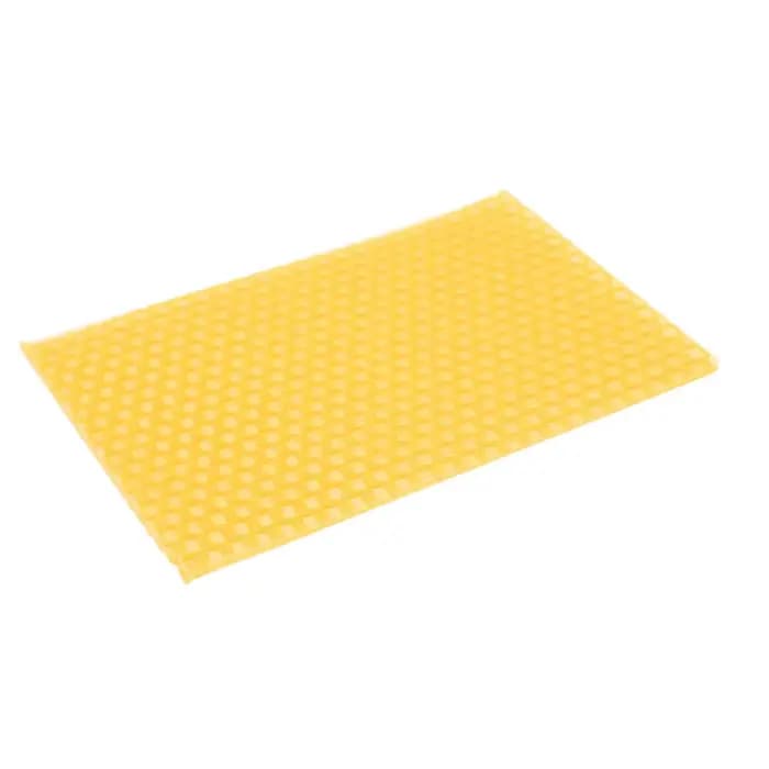 Ruche pour apiculture, 50 pièces, cadre de base en nid d'abeille, ruche de jardin, outils pour l'api