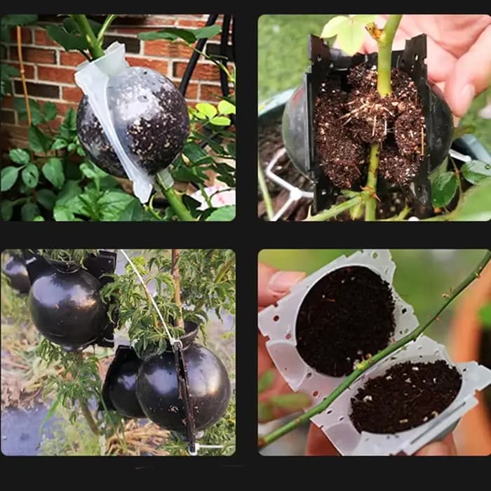 Boule d'élevage de racines de plantes, boîte de culture de racines de jardinage à haute pression, ét