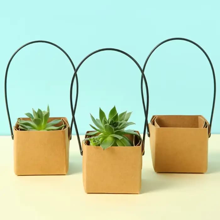 Boîte à plantes succulentes en pot en papier Kraft, 5 à 20 pièces, boîte en papier portable, décorat