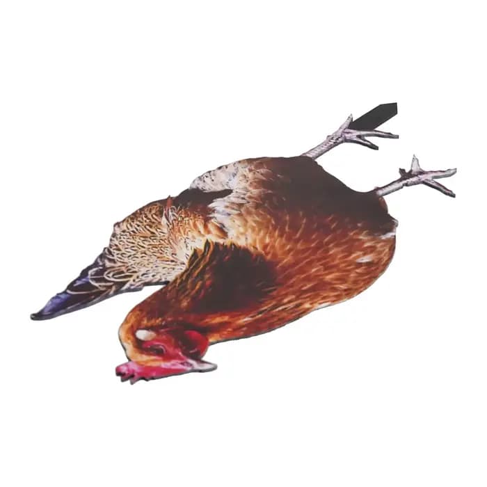 Statue de coq de jardin, Sculpture de poulet en acrylique pour décoration de cour, Figurine de poule