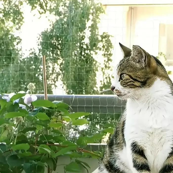 1 pièce, filet de Protection des oiseaux, filet pour oiseaux à séchées fines, filet pour chat pour b