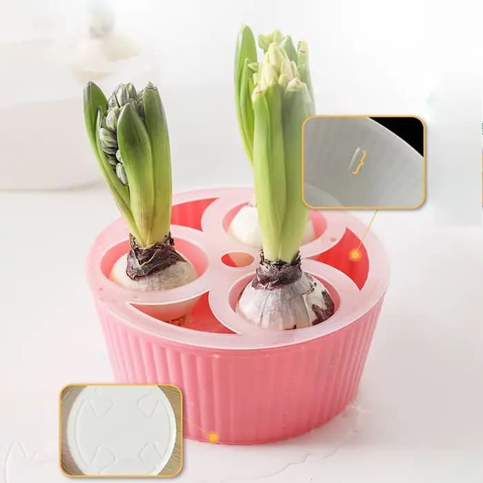 Jardinière hydroponique à 3 trous pour ampoules de fleurs, Vase en jacinthe en verre pour le jardina