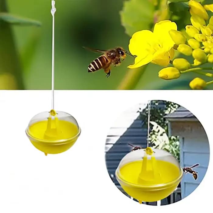 Piège à abeilles en forme de dôme en plastique suspendu pour l'extérieur, piège à guêpes, pour la mo
