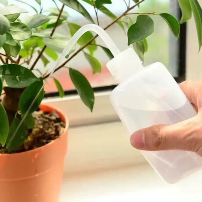 Arrosoir bonsaï pour plantes succulentes, 250/ 500ml, outil de jardinage à bec long