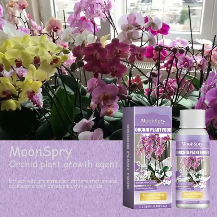 Engrais liquide spécial pour fleurs d'orchidées, supplément composé de nutrition pour la croissance 
