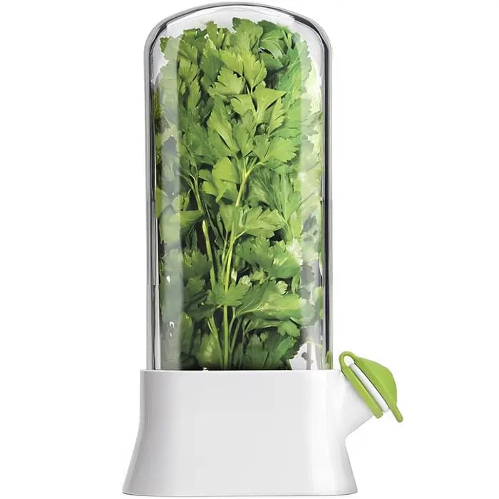 Économiseur d'herbes pour réfrigérateur, bouteille de conservation des légumes, dosette de conservat