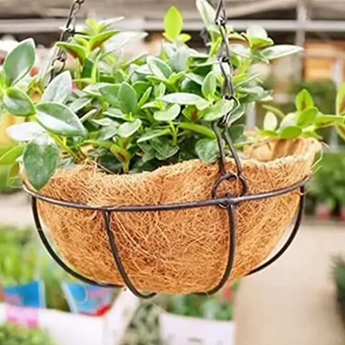 Doublure de panier de coco 14/16 naturel pour jardinières, doublures AMP rondes, doublure de remplac