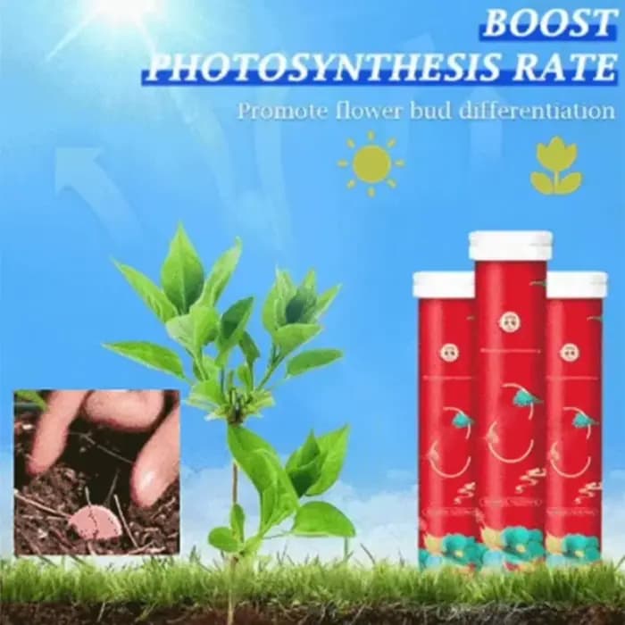 Tablette universelle à libération lente pour jardinage domestique, navigateur organique pour plantes