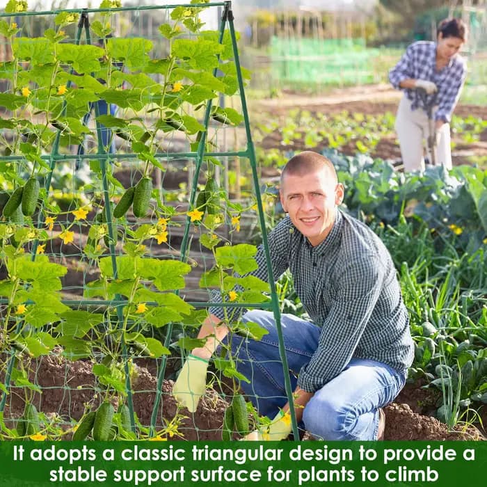 Treillis de concombre, cadre A pour légumes de jardin, Support détachable, cadre d'escalade pour pla