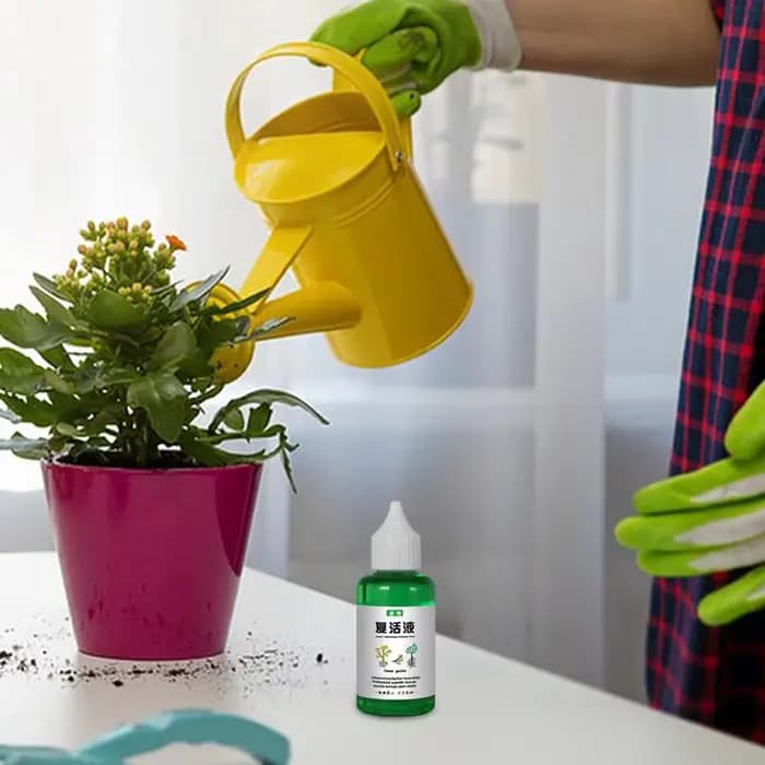 Solution universelle pour plantes, solution nutritive, nettoyeur d'orchidées et de gardénia, liquide