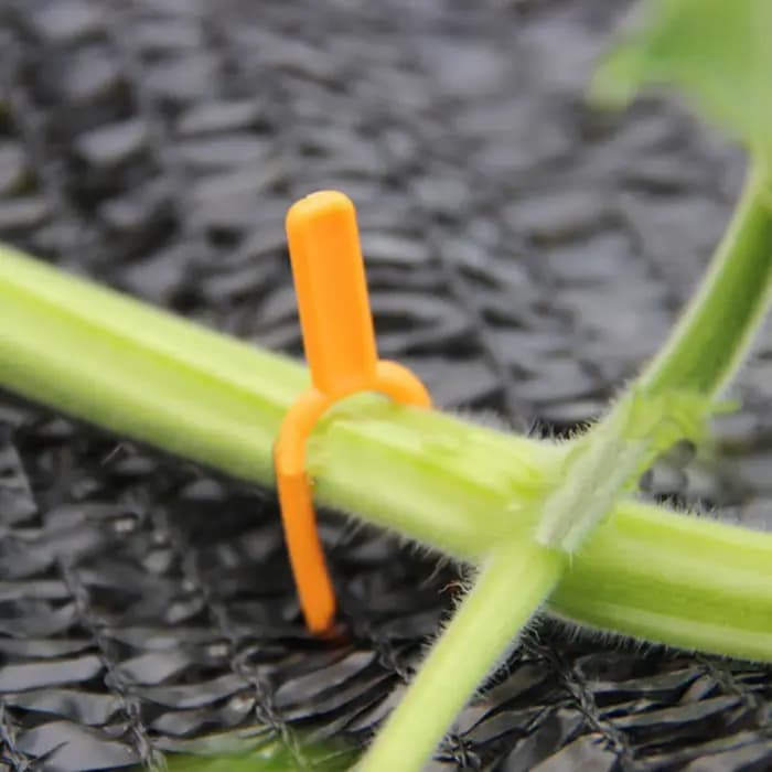 50 Pièces de Pinces de Fixation en Plastique pour Plantes de Jardinage, Agricoles, Fleurs, Melons et