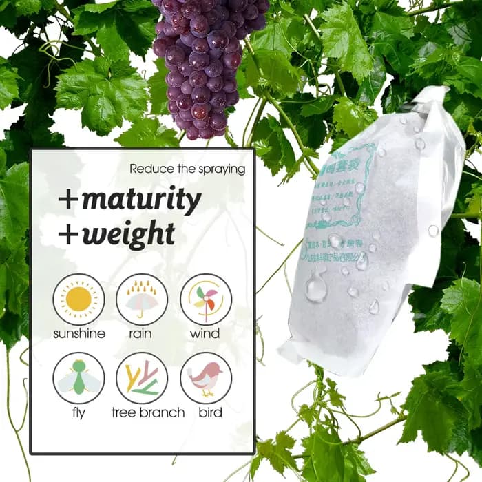 Sacs de Protection de Raisin en Papier Blanc pour Verger, Étanches aux Mites, pour la Culture de Fru