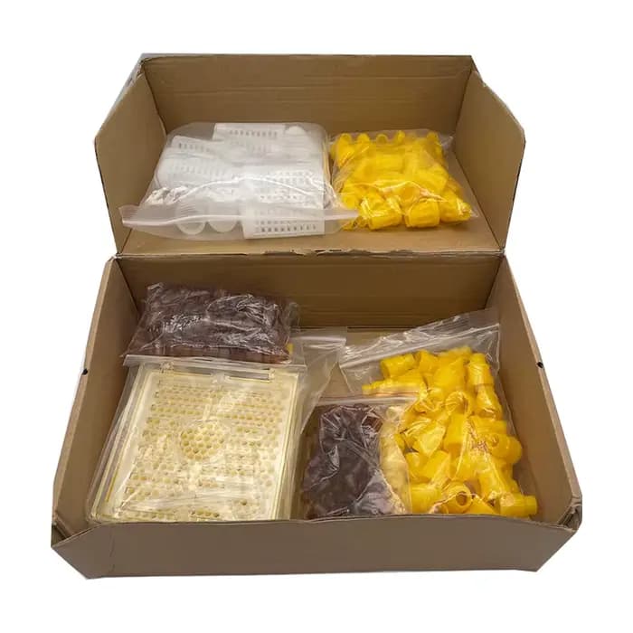 Jenter – Kit d'élevage de reine, système d'élevage de fausses abeilles, Cage mobile, outil pour apic