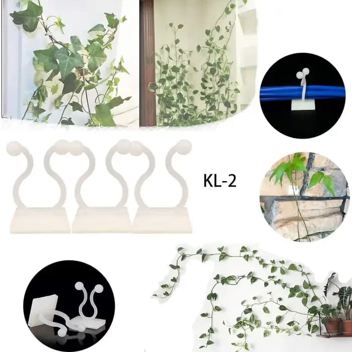 Pince murale Invisible en rotin, Clips muraux d'escalade pour plantes, fixateur de plantes auto-adhé