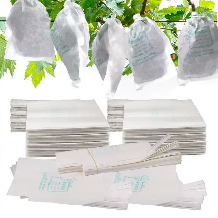 Sacs de Protection de Raisin en Papier Blanc pour Verger, Étanches aux Mites, pour la Culture de Fru