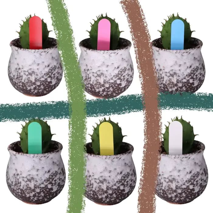 Étiquette volante pour plantes de jardinage, 30 à 100 pièces, carte d'identification en plastique, e