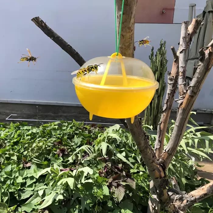 Piège à abeilles en forme de dôme en plastique suspendu pour l'extérieur, piège à guêpes, pour la mo