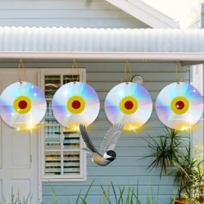 Ensemble de disques anti-oiseaux, réflecteurs d'oiseaux, épouvantail, yeux d'horreur réfléchissants 