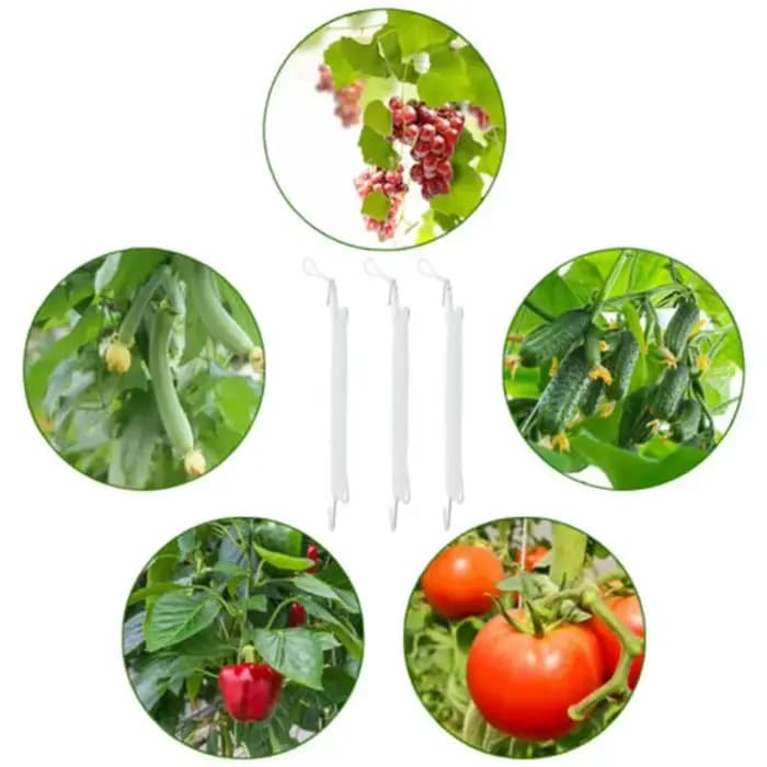 10 pièces serre jardin tomates crochets pinces plantation légumes crochet Support plantes cravates S