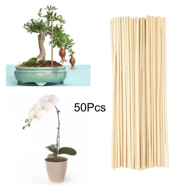 Bâtons de support de plante de jardin en bambou, anciers de fleur pour soutenir la plante grimpante,