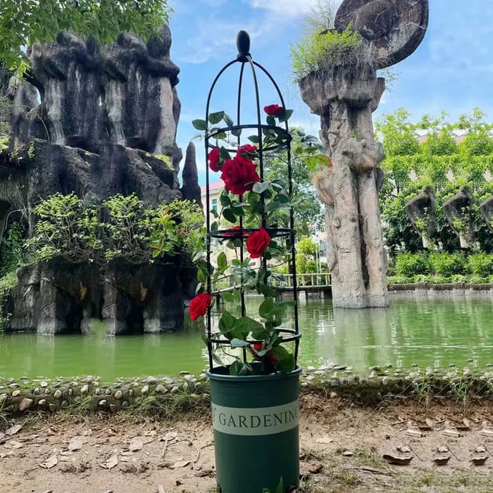 Obélisque de jardin en treillis pour plantes grimpantes, peut aider à la croissance des roses,ruit n