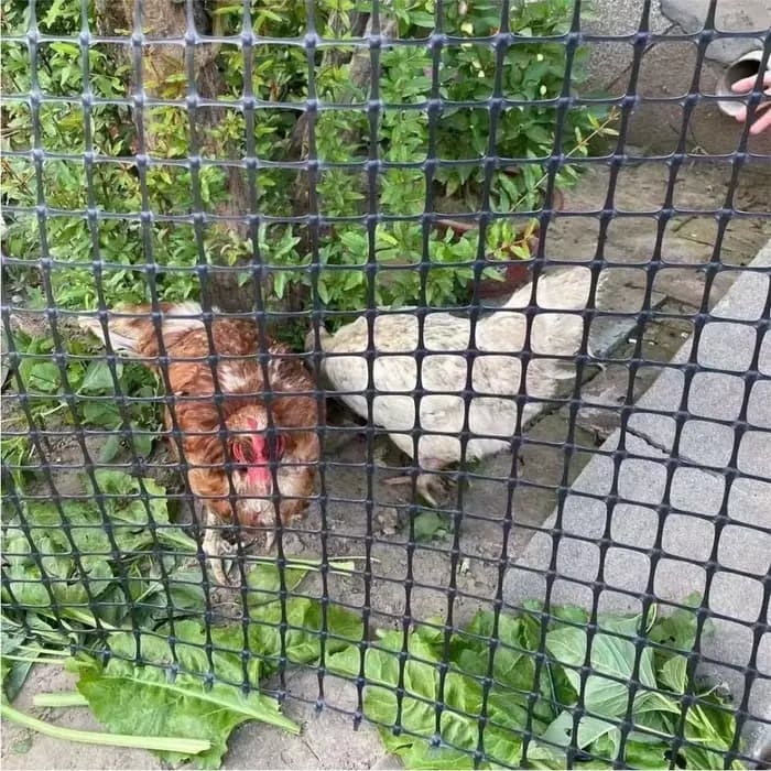 Clôture de jardin en plastique LatejMesh, clôture de sécurité pour sécuritaires, chat, animal de com