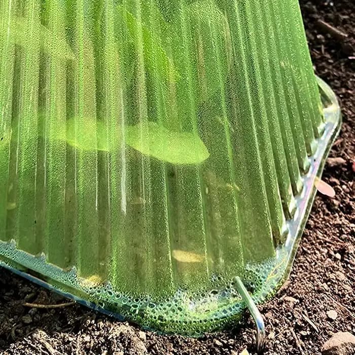 Housse de protection pour semis, accessoires pour plantes, serres de jardin, semis de légumes, fourn