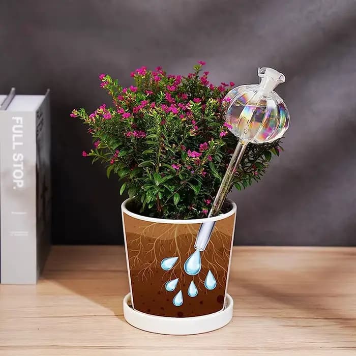 Ampoules d'arrosage automatique en verre pour plantes, goutteur d'eau en forme de plante de fleur, d