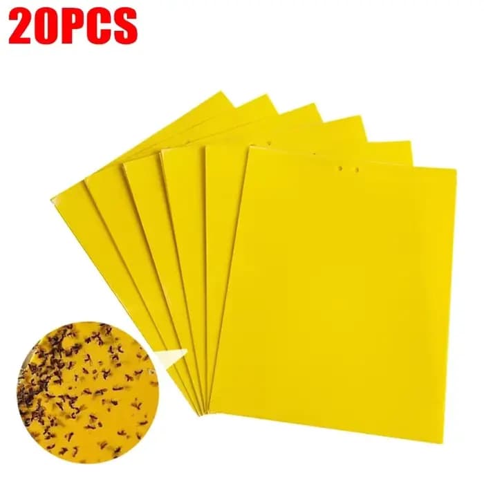 Autocollant Double face pour pièges à mouches des fruits, 20 à 200 pièces, planche collante forte, p