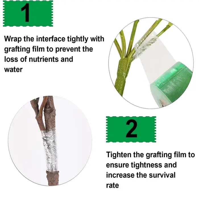 100/200 mètres 2/2.5/3CM ruban de greffage extensible auto-adhésif Film de greffage spécial arbre fr