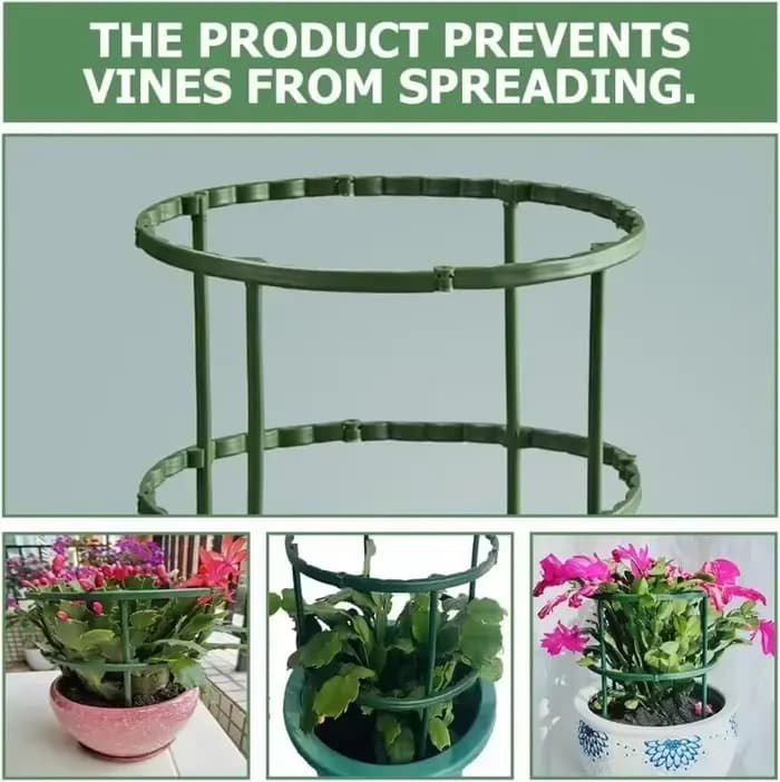 Support d'escalade pour plantes à fleurs, stylo de bouquet, Support pour plantes vertes, cadre de Pi