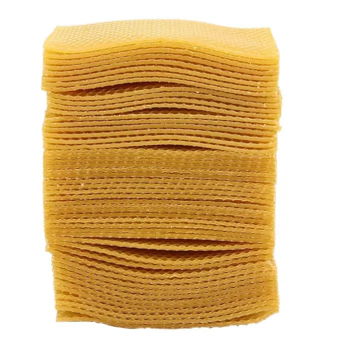 Ruche pour apiculture, 50 pièces, cadre de base en nid d'abeille, ruche de jardin, outils pour l'api