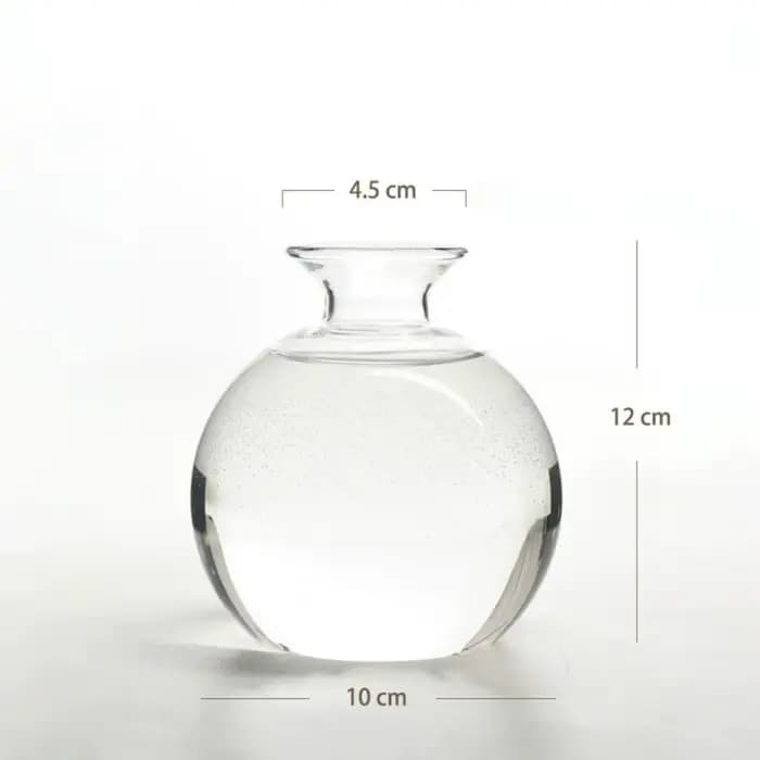 Vase de germination pour graines d'avocat, Kit de culture d'avocat en verre avec autocollants, Cadea