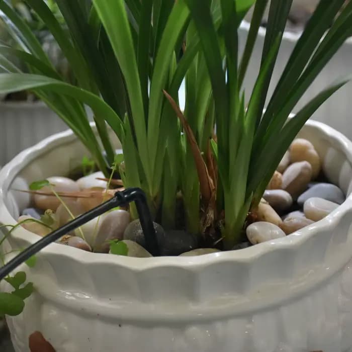 Système d'irrigation goutte-à-goutte, 2L, 4L, 8L, 2/4 voies, flèche, connecteur compte-gouttes, sépa