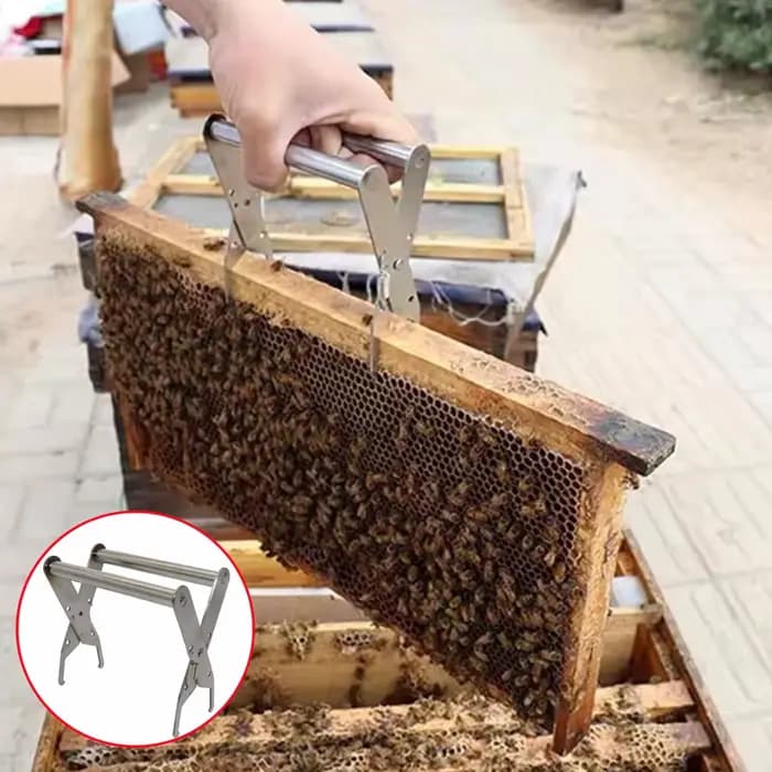 Support de cadre de ruche en fer, pince de boîte de nid, outil d'apiculture Durable, support de cadr