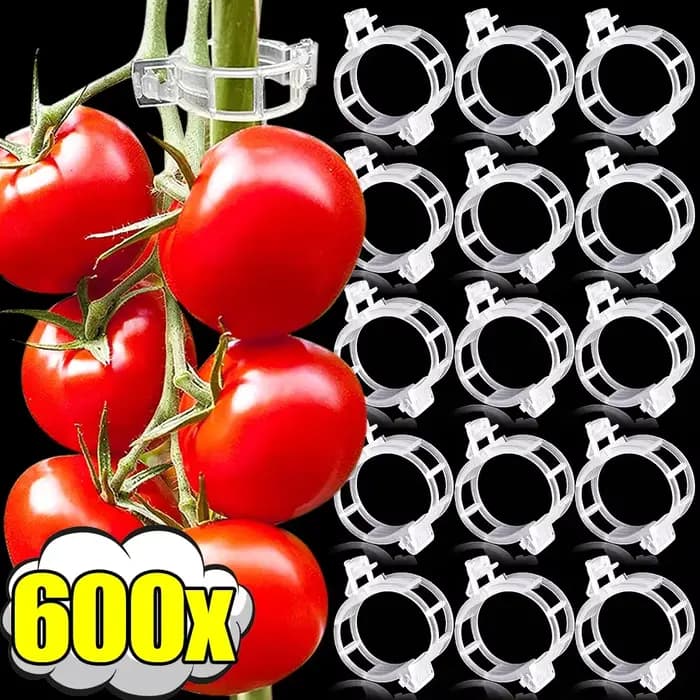 Clips de plantes réutilisables, 600-10x, supports de tige de vigne et de tomate, pinces de greffage,