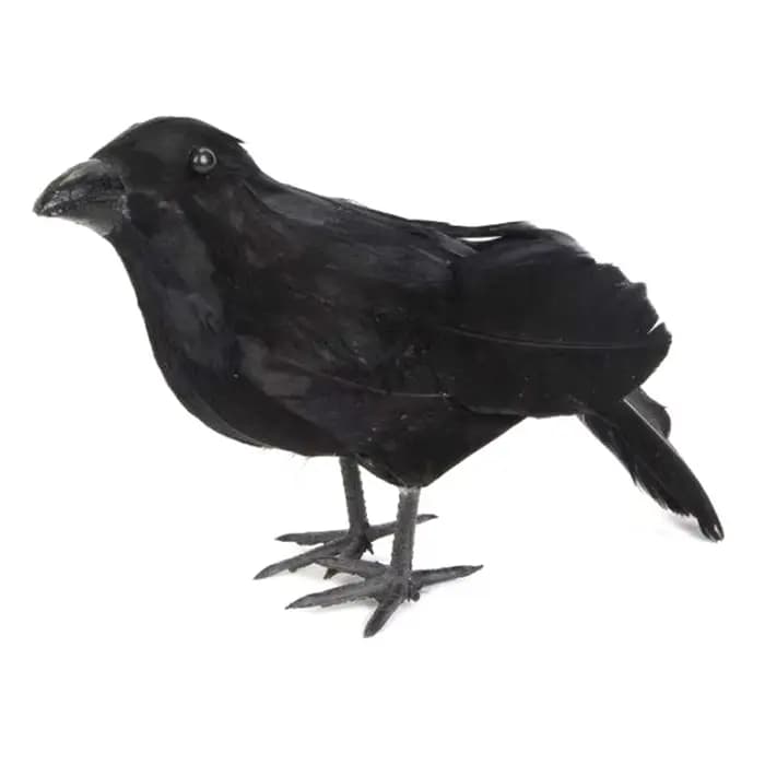 🌟 Corbeau noir de simulation, répulsif anti-nuisibles, anti-pigeons, décoration de jardin, décoratio