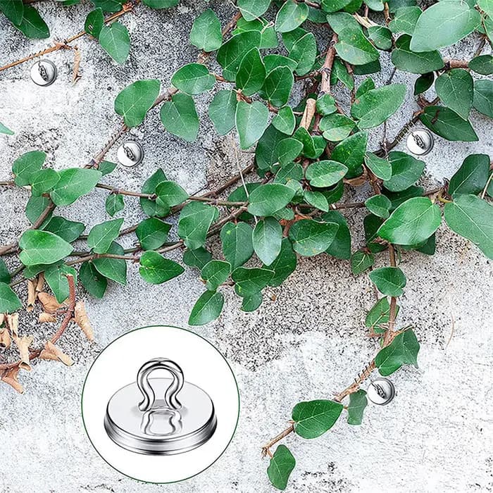 Kit de treillis universel en aluminium pour plantes grimpantes, injecteur de vigne, extérieur, 50/10