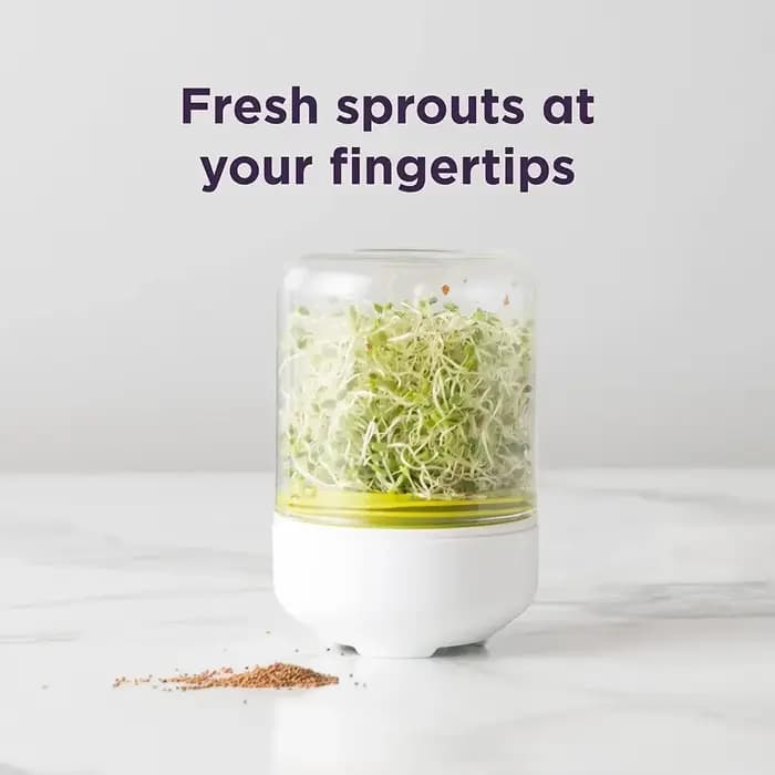 Kit de culture de germes de comptoir, réutilisable, pour la cuisine domestique, système de germinati