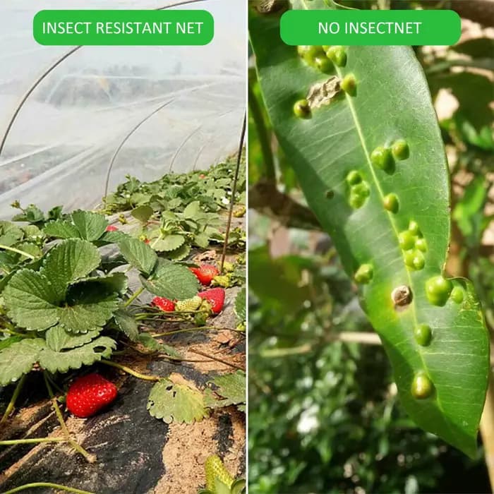 Filet de Protection contre les insectes de jardin, 60 mailles, pour fleurs, serre, plantes, fruits, 