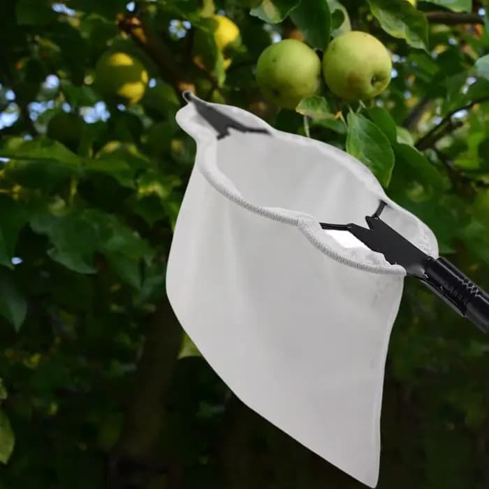 Ramasseur de fruits, équipement de cueillette de fruits, cueilleur d'arbres léger, panier de cueille