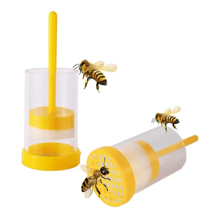 Marqueur d'Alimentation de Bouteille d'Apiculture, Bâton en Bois, Éponge, Equation de Reine, Attrape