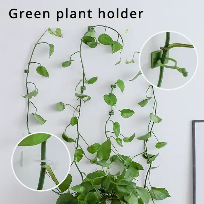 Fixateur de plantes et de plantes vertes, panier vert, vigne grimpante, Style mural suspendu, croche