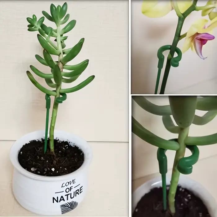 Support pour plantes en fibre de verre, 10 orchidées papillon, Support spécial pour Pot de fleur, ti