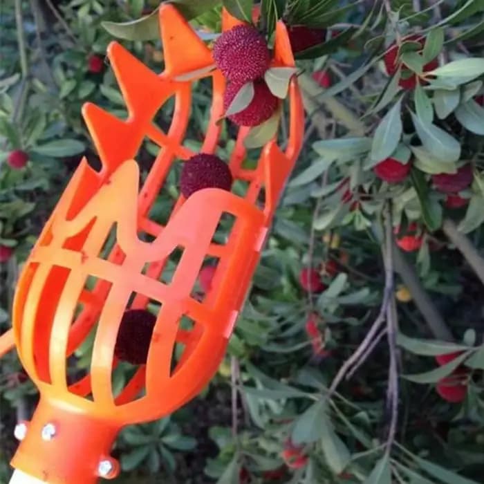 Panier de jardin en plastique multicolore, tête de cueillette de fruits, outil de cueillette de frui